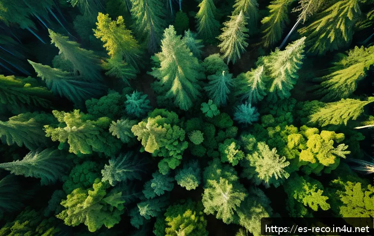 생태환경 연구 데이터 분석 방법 - A high-resolution aerial view of a lush forest landscape captured by a drone equipped with multispec...